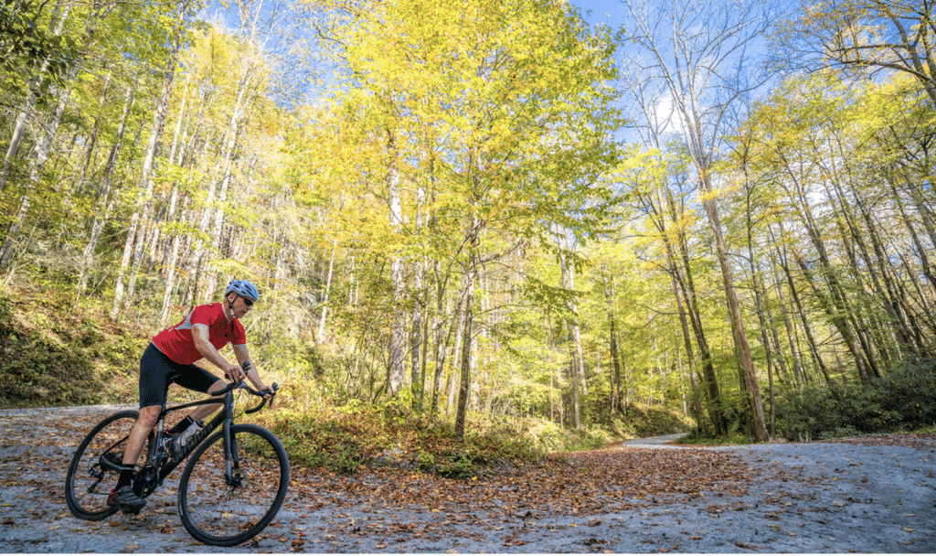 Gravel Cycling in Transylvania County • The Cabins at Seven Foxes