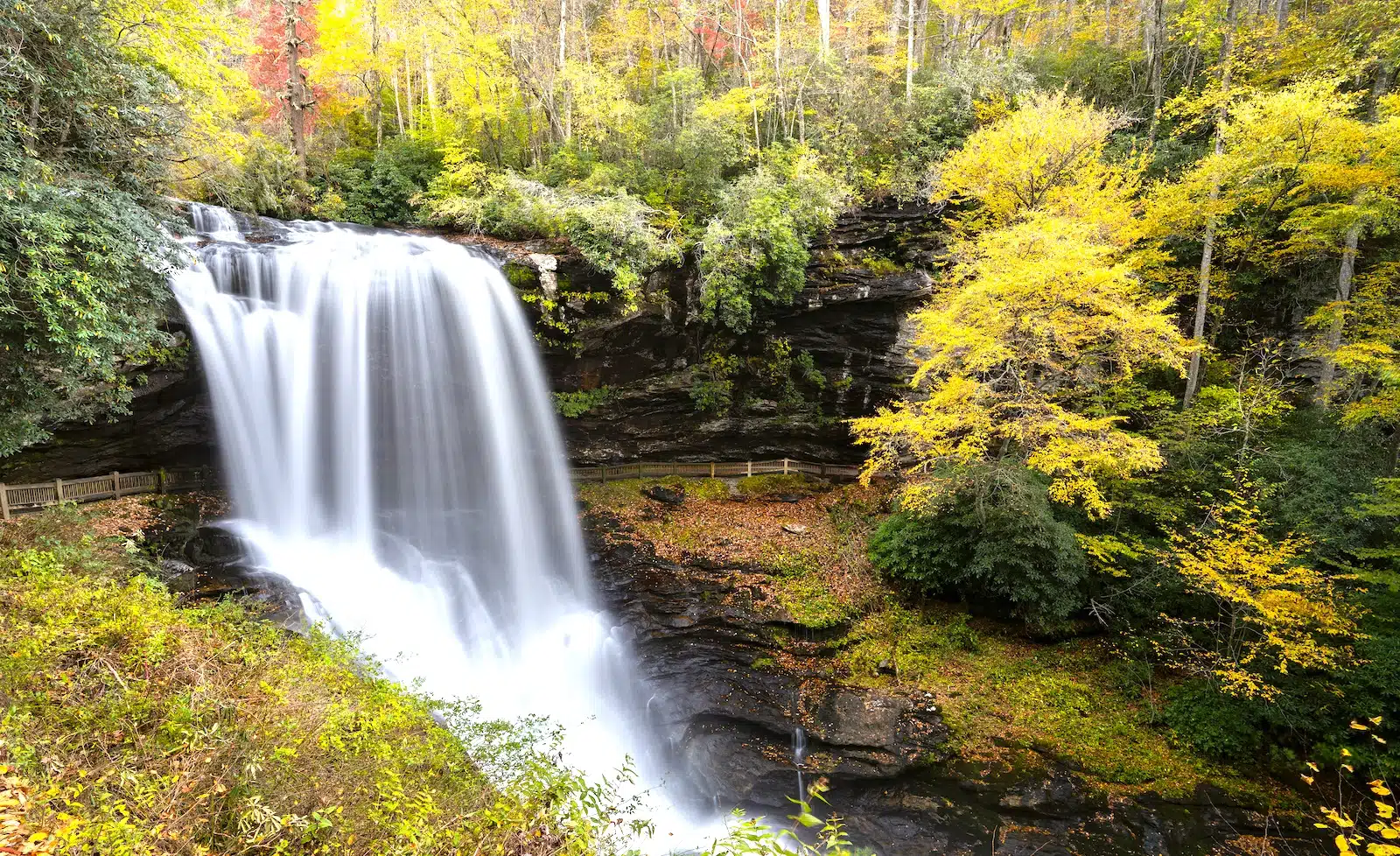 Explore the Waterfalls • The Cabins at Seven Foxes